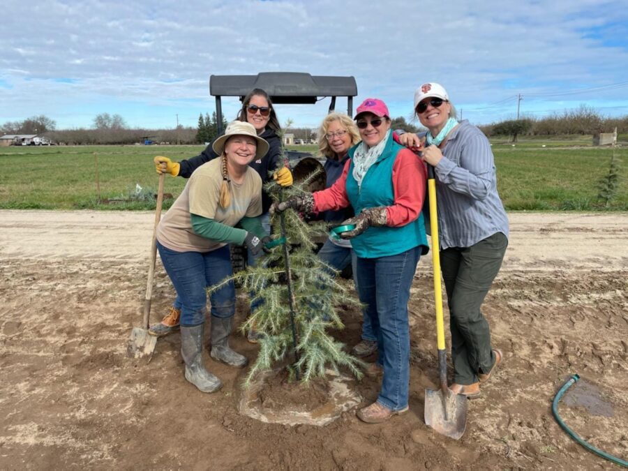 Volunteer Work Day